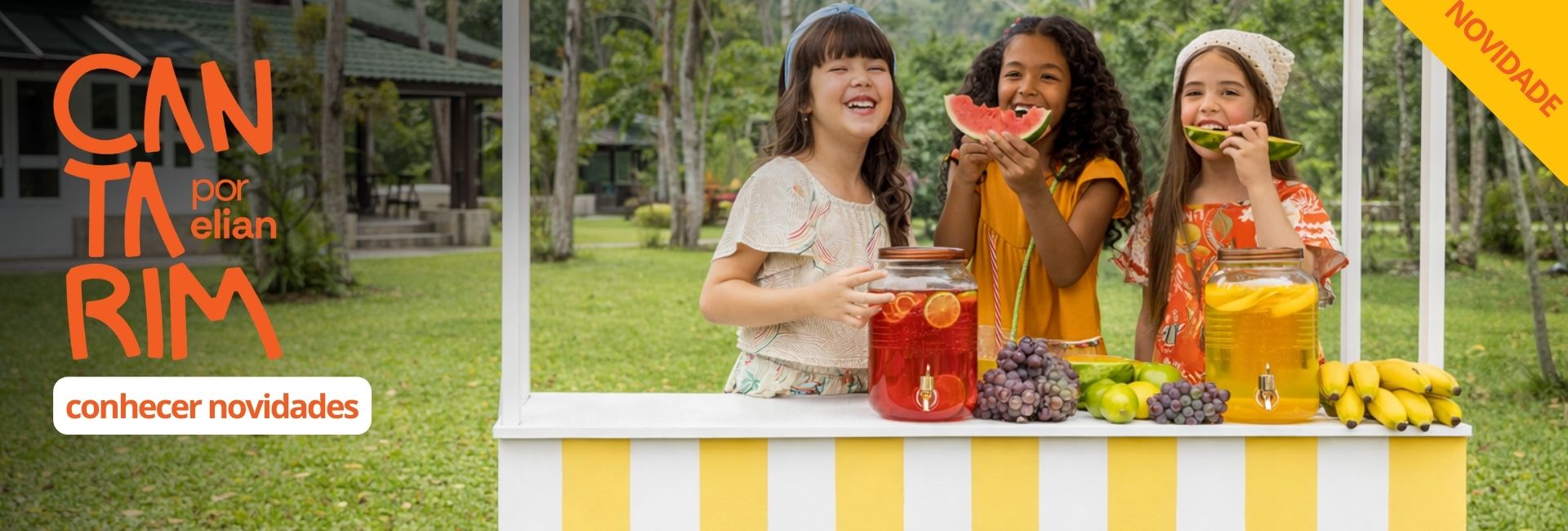 Banner Festas Desktop